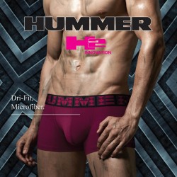 HUMMER - 2 Trunk (HM7482)